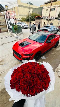 فورد موستانج